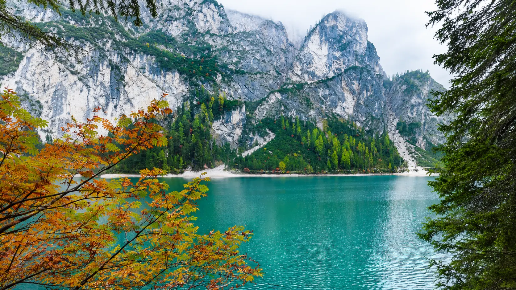 Pragser Wildsee mit türkisgrünem Wasser, Herbstlaub und den Dolomiten